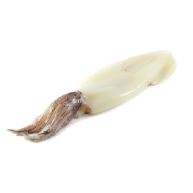Calamari_11-20