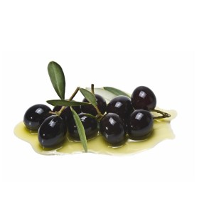 Oliven_aus_Kalamata47